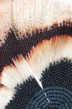 Fashion COS BANDEAU Z KORALIKAMI I KWIATOWYM NADRUKIEM