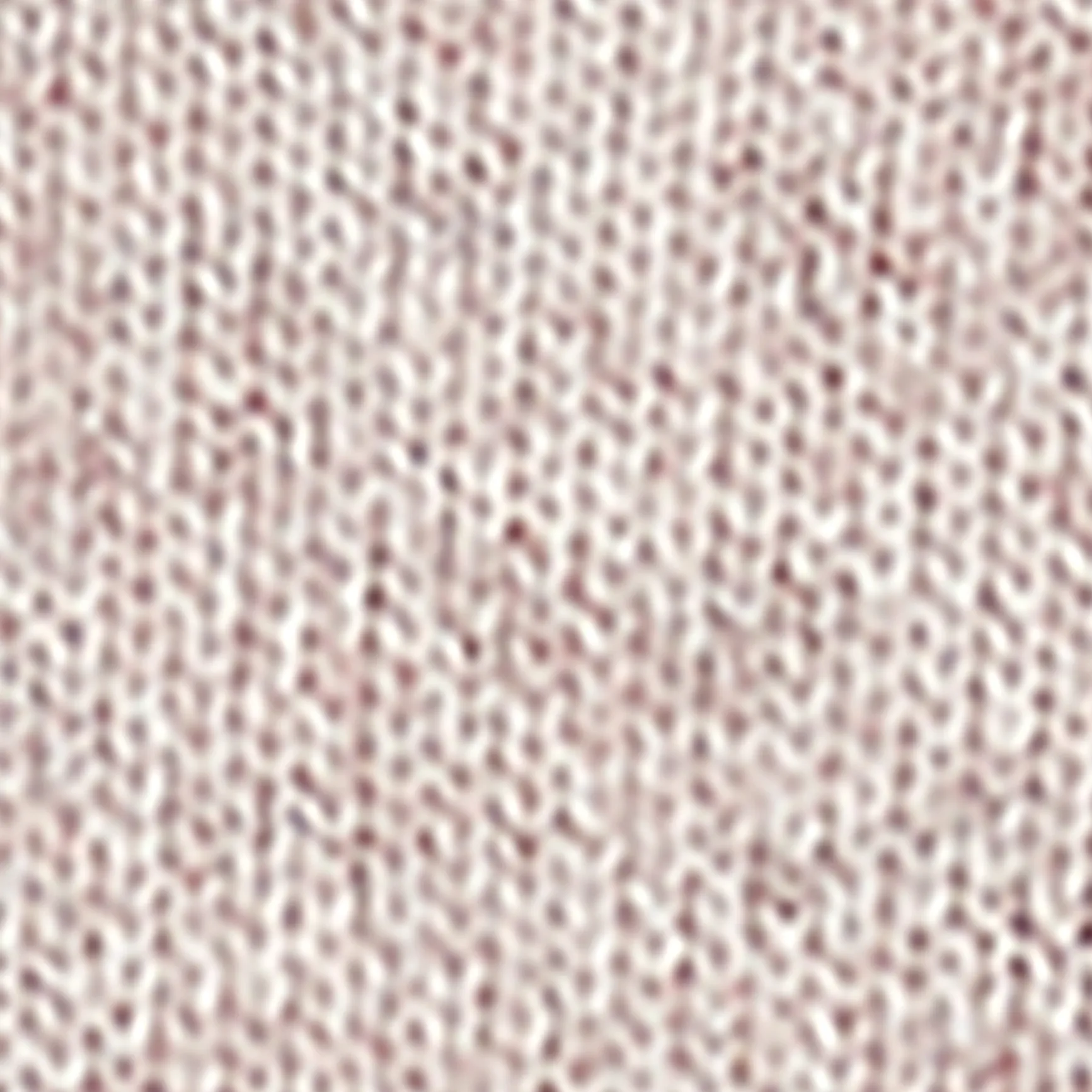 New COS BLUZA Z KAPTUREM Z CZYSTEGO KASZMIRU