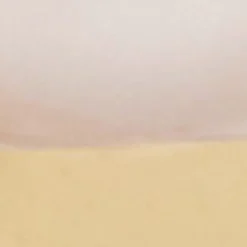 Hot COS FRESHWATER PEARL STUD EARRINGS