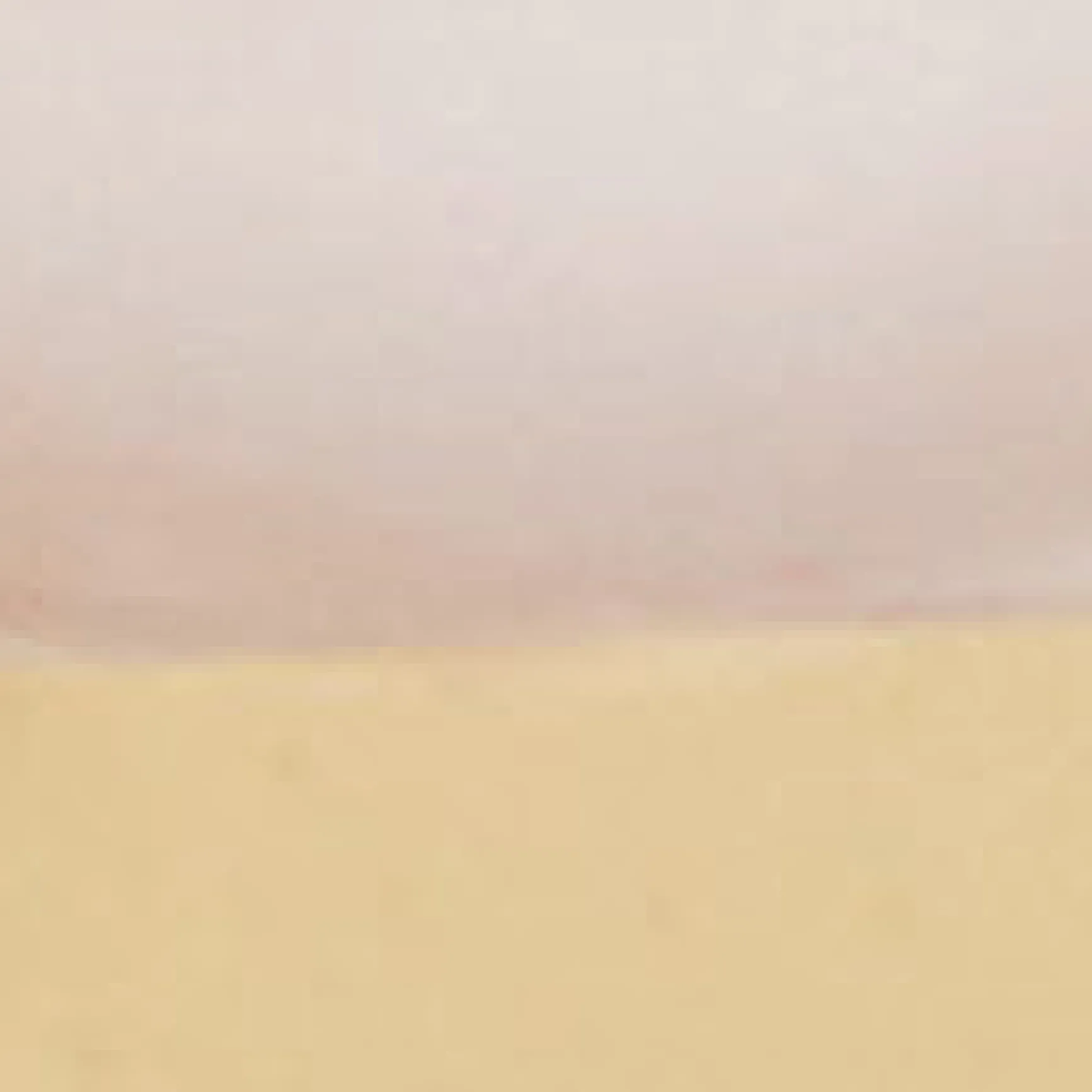Hot COS FRESHWATER PEARL STUD EARRINGS