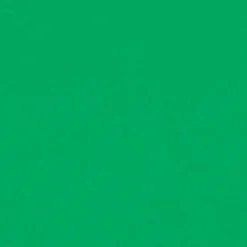 Fashion COS HIGHWAISTED BIKINI BRIEFS Brightgreen