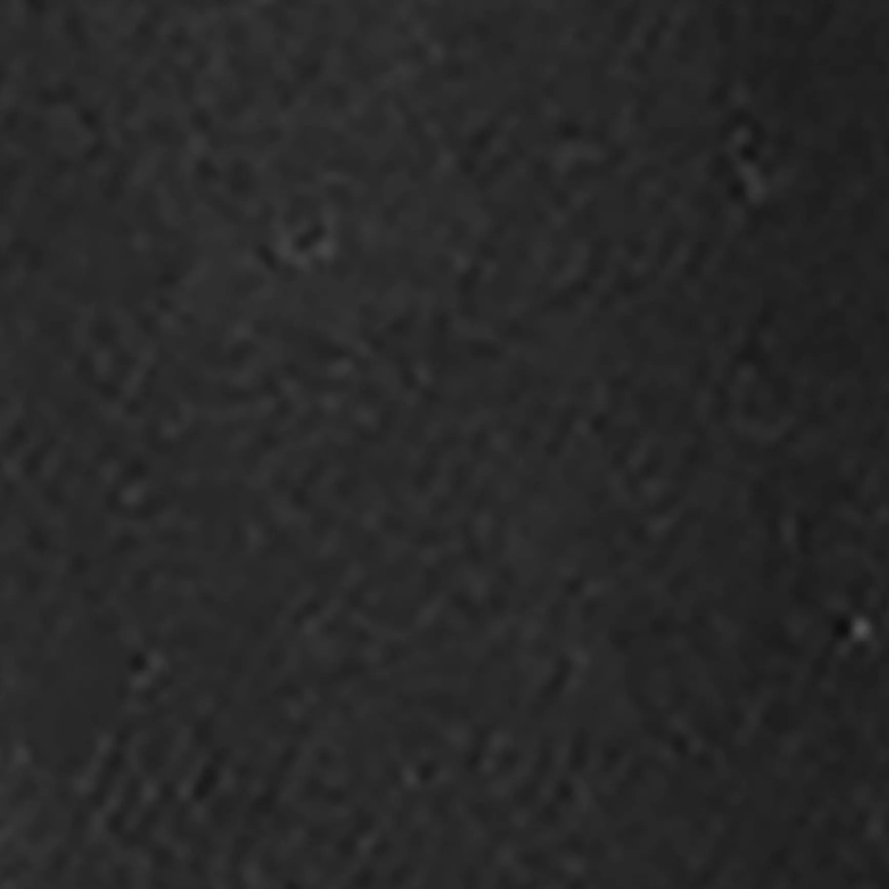 Clearance COS SPODNIE ZE ZWĘŻANYMI I PODWINIĘTYMI NOGAWKAMI Black