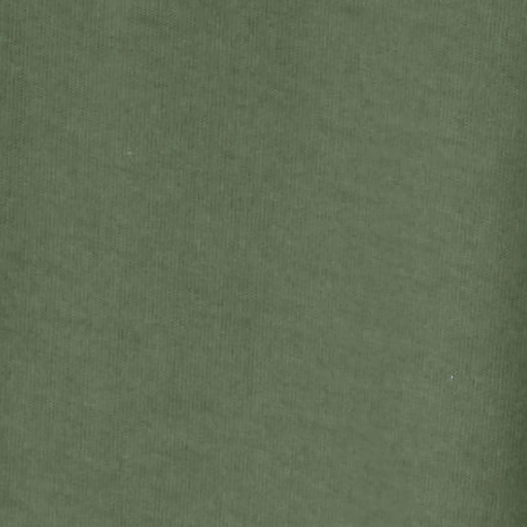 New COS KLASYCZNY T-SHIRT ZE SZCZOTKOWANEJ BAWEŁNY Khaki